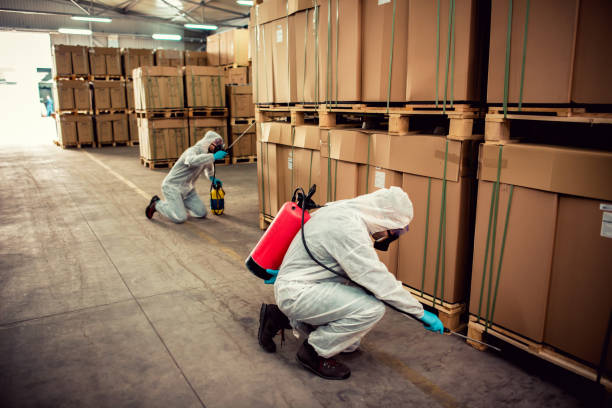 Professional Pest Control in Pulaski, NY