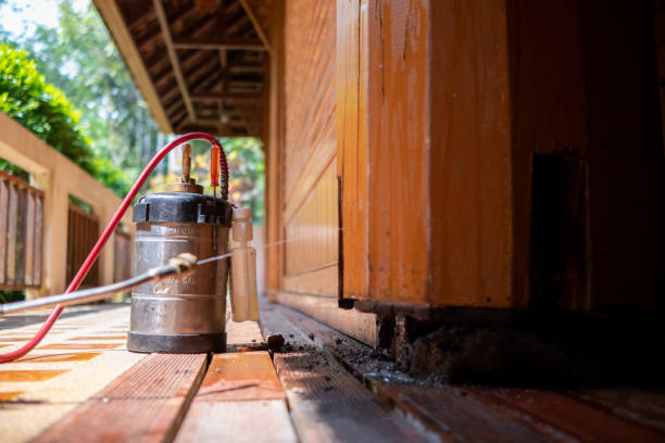 Best Pest Prevention Services  in Pulaski, NY